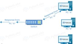 switching hub